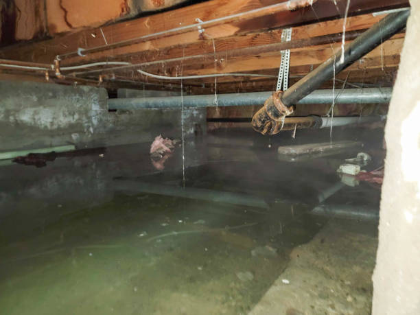 Clinton, MS Water damage restoration Company
