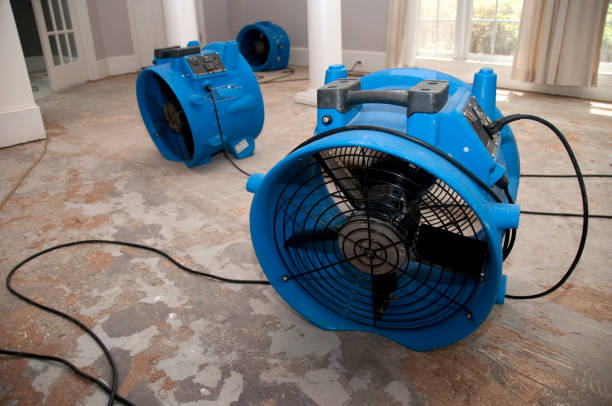 Best Water damage restoration near me  in Clinton, MS